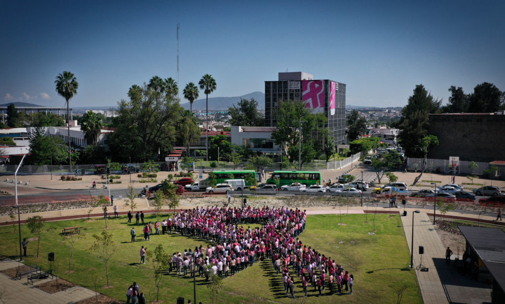 Rosa 2 1024x616 - En la víspera, forman un lazo rosa humano contra el cáncer de mama en Jalisco