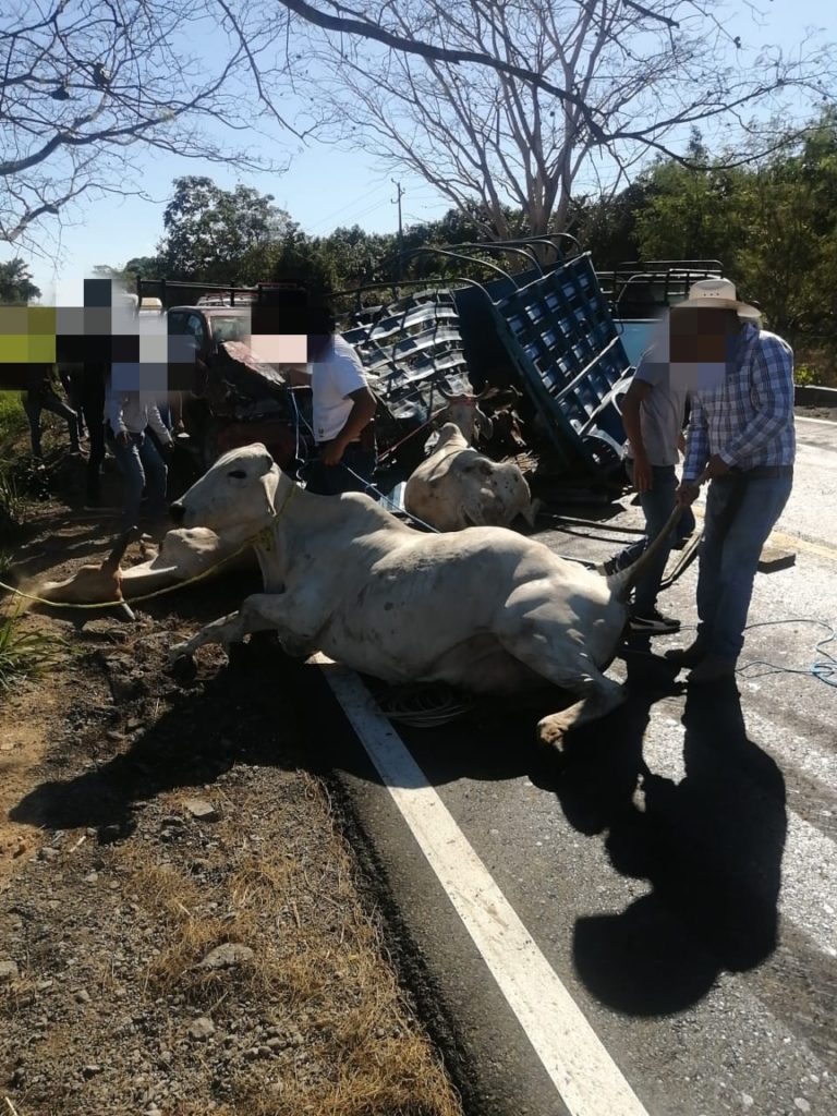 ABAJO 2 1 768x1024 - Choque deja varios turistas extranjeros lesionados en la carretera federal 200