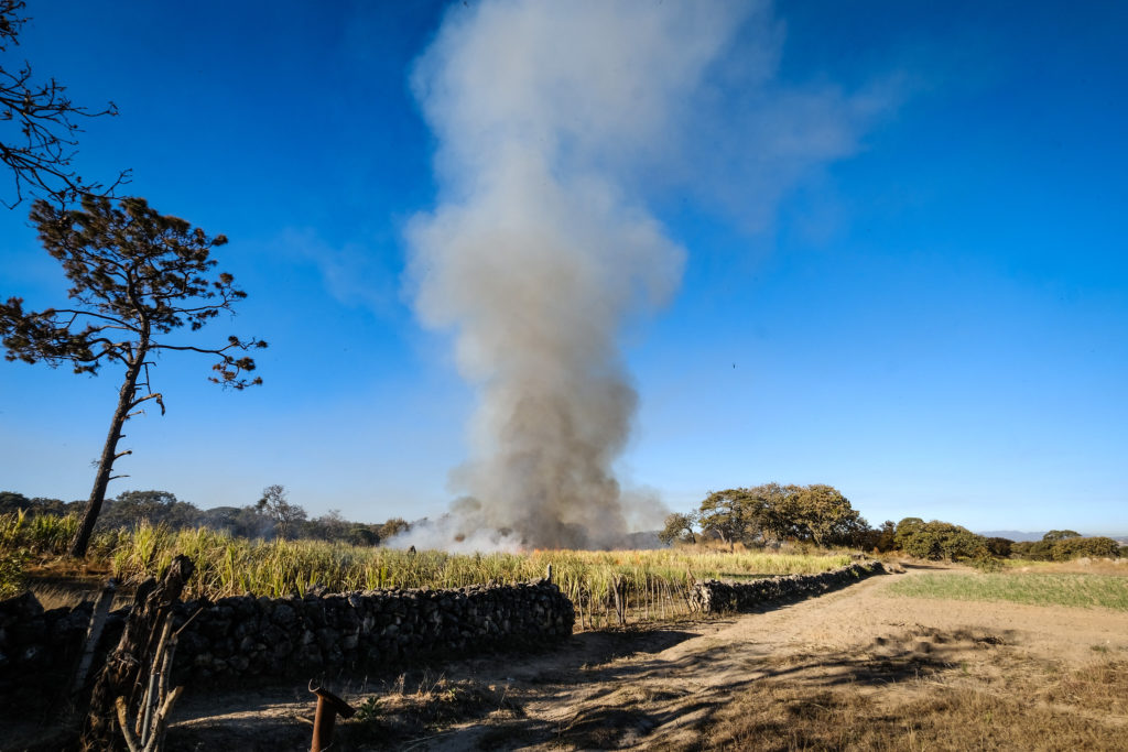 Fuego 2 1024x683 - Pide Semadet hacer uso responsable del fuego en zonas agropecuarias