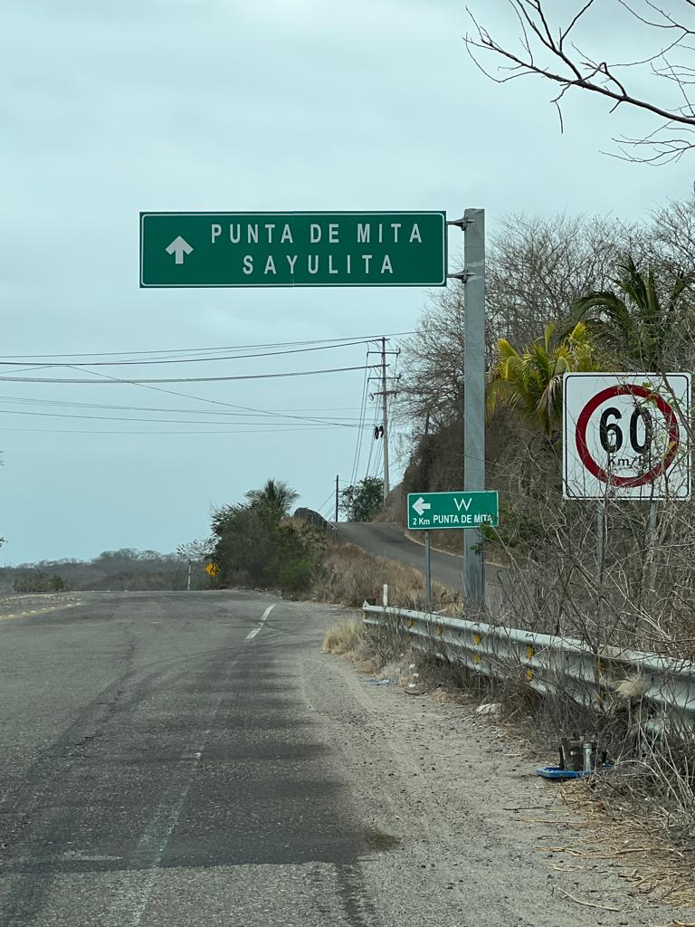 empresariosytrabajadoresplanta400arbolescarreterapuntademita2 - Reforestan empresarios la carretera a Punta de Mita con más de 400 árboles