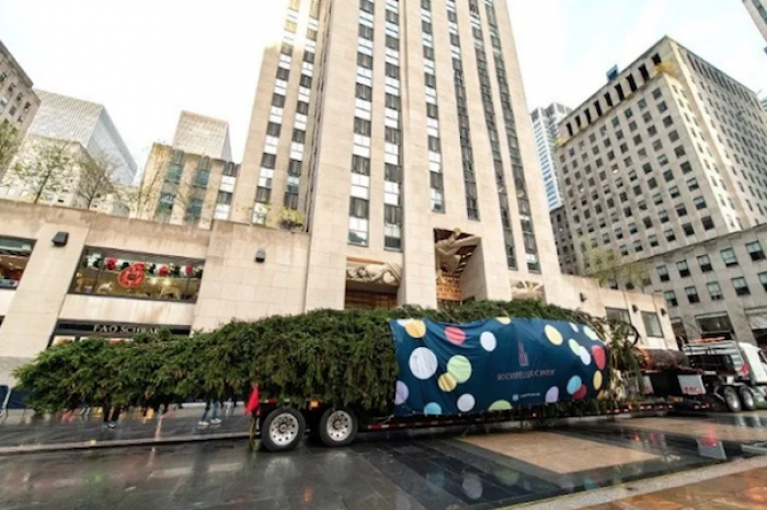 llegoanuevayorenormearboldenavidad2022 - Llega a Nueva York el emblemático árbol navideño del Rockefeller Center