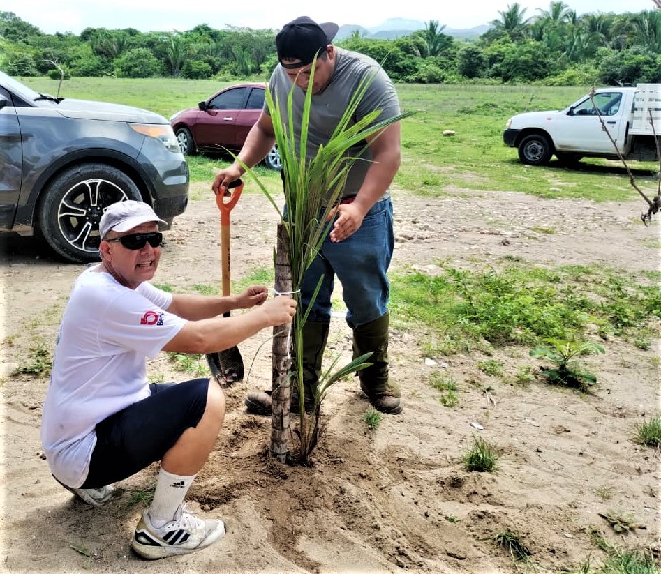 limpianyreforestanplayadelnaranjoenlapenitadejaltemba4 - Voluntarios reforestan y recolectan basura en  playa El Naranjo, de la Peñita de Jaltemba