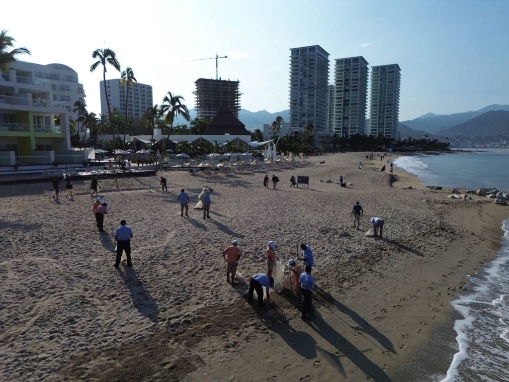 limpiaronlasplayasdepuertovallarta2 1024x768 - Decenas de voluntarios limpiaron las principales playas de Vallarta