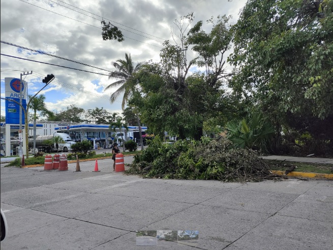 danosyafectacionesdelidianevallarta2 - Habitantes y turistas se quedaron sin agua y luz en Puerto Vallarta