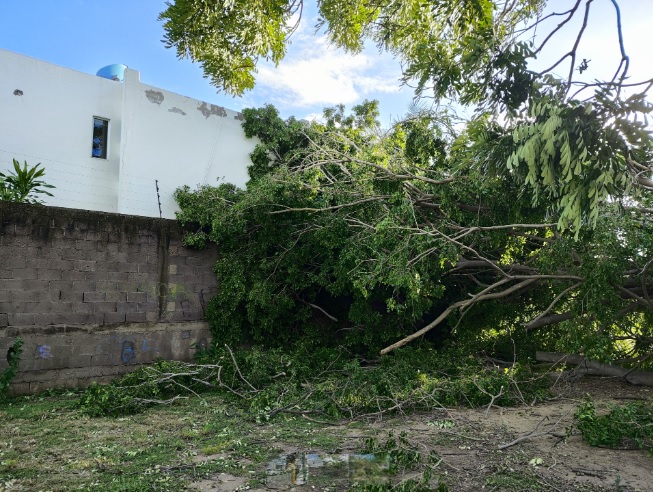 danosyafectacionesdelidianevallarta6 - Habitantes y turistas se quedaron sin agua y luz en Puerto Vallarta