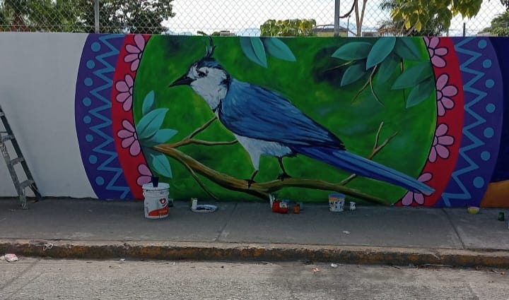 artistaponecolorasanvicente3 - Artista pone color y vida a calles, avenidas y bardas de San Vicente