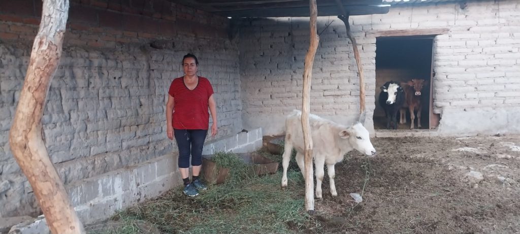 productoresafectadosporlasequia2 1024x461 - Si al gobierno no le interesa Guerrero, menos la sequía: Agricultores jaliscienses