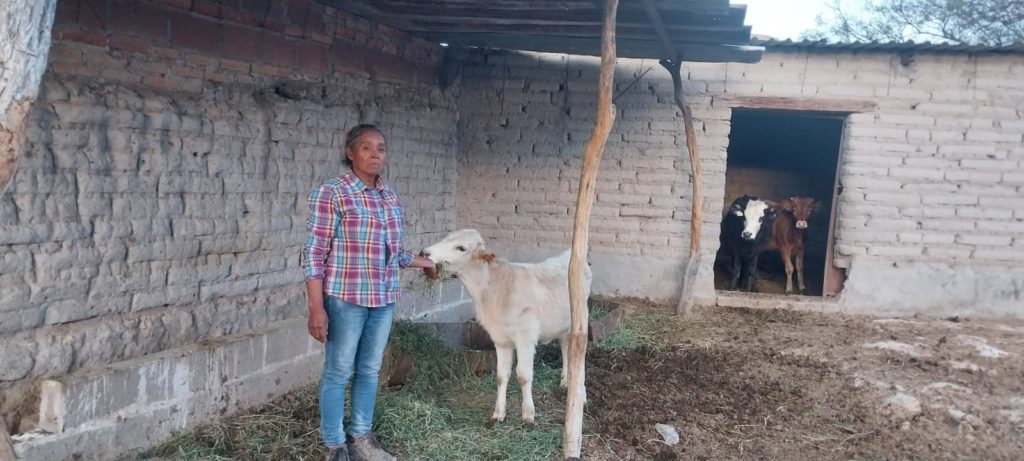 productoresafectadosporlasequia3 1024x461 - Si al gobierno no le interesa Guerrero, menos la sequía: Agricultores jaliscienses